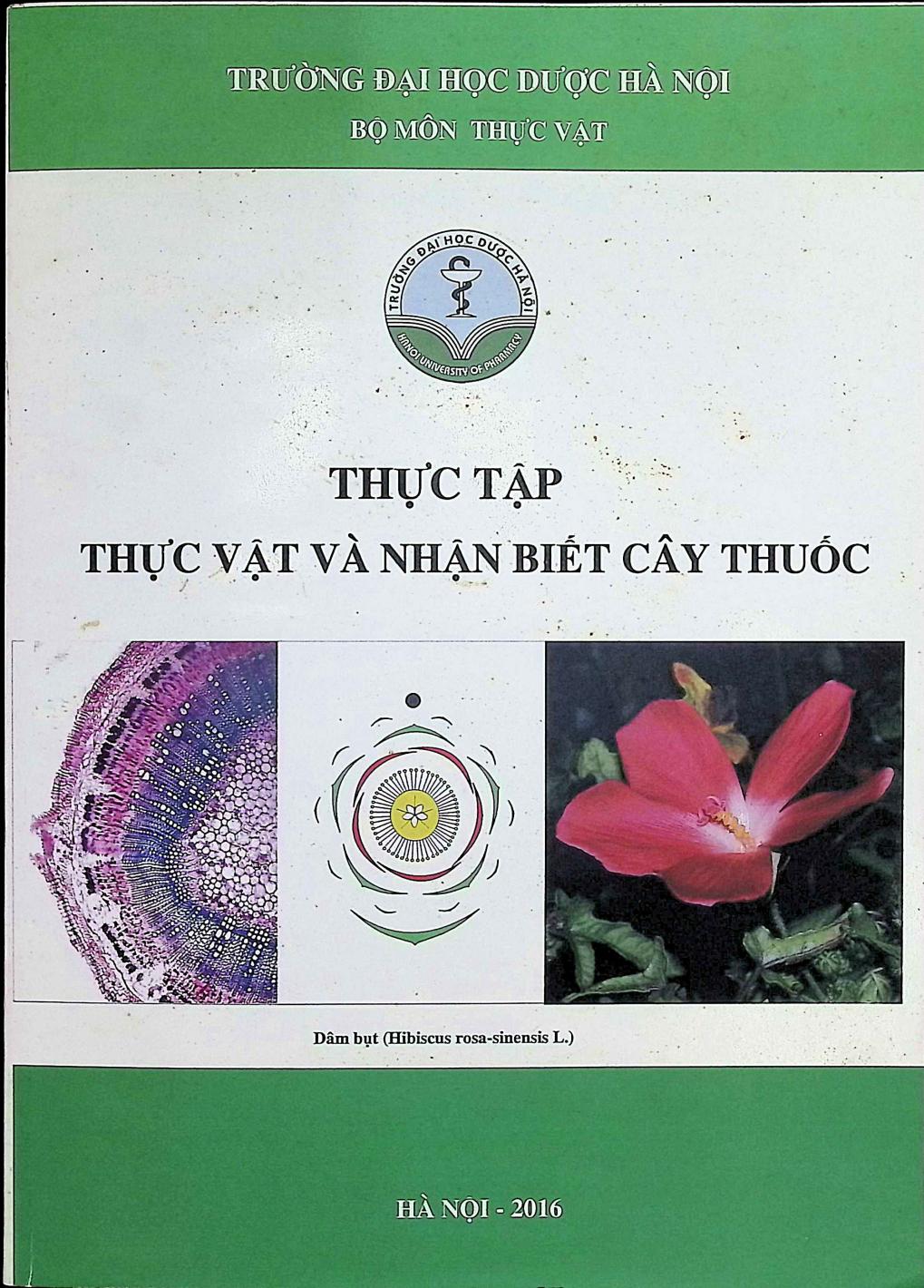 Thực tập thực vật và nhận biết cây thuốc